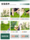 Artificial Green Plant Landscaping Combination, Fake Plant Landscape for Balcony, Garden, Courtyard, Indoor Stairway Decoration, Scene Arrangement