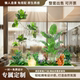 Simulated green plant landscaping combination villa landscape layout under the stairs shopping mall partition window decoration porch bionic tree
