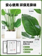Bird of Paradise Artificial Green Plant, High-End Luxury Imitation Flower, Large Indoor Potted Plant Decoration for Living Room, Fake Plant