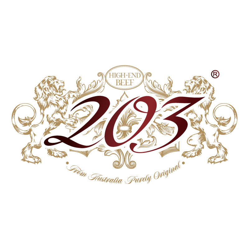 203旗舰店的LOGO