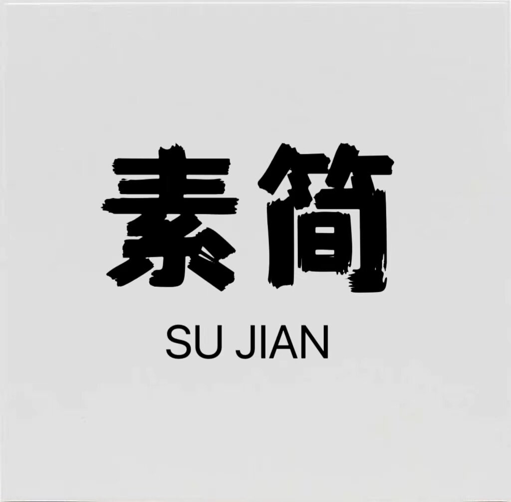 智想数码科技的LOGO