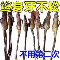 b Toothpaste for loose teeth swelling and pain in gums recession toothpaste retainer for shaking teeth fixing teeth for toothache medicine for periodontitis G