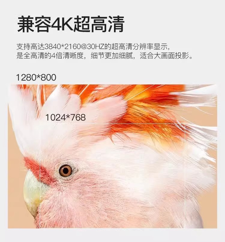 O1CN01QPjCA61e121C50f2h_!!2217546503810.jpg