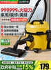 Royalstar Vacuum Cleaner for Home Use, High Suction Power, Ultra-Quiet, Powerful, Specialized for Cleaning Grout, Small Size, Suitable for Cat Hair and Carpets