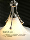Nature Bauhaus Magnolia Chandelier Modern Minimalist Creative High-End Dining Room Bar Study Glass Pendant Light