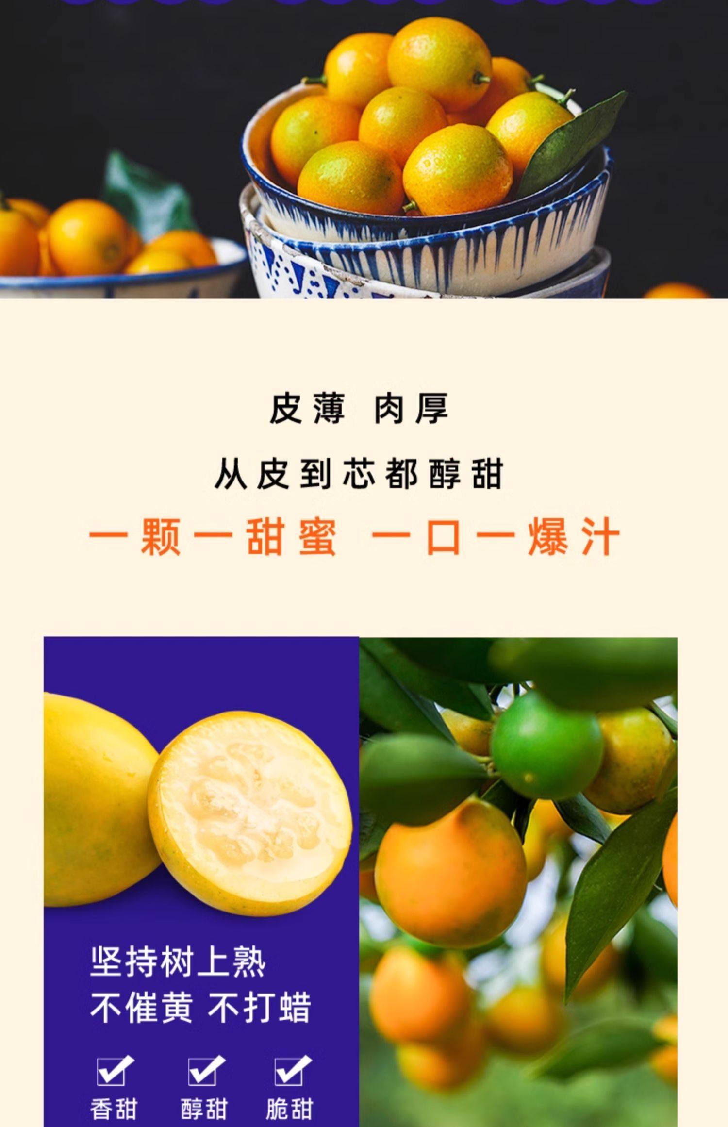 Dole 都乐 广西融安 滑皮金桔 400g 35~42颗简装 天猫优惠券折后¥9.9包邮(¥15.9-6)