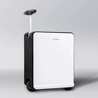 Цвет панды [можно сесть в самолет + блокировка паролем TSA]