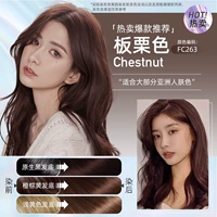 Maroon Color (Super Queen-Like)