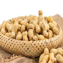 Minggong Premium Fujian Ninghua Wet Seed Peanuts 500g Pack New Handmade Wet Seed Fried Peanuts Travel Ready-to-Eat Snacks