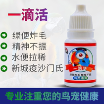 Bird Medicine Parrot Pigeon Wenniao Jade Bird Myna Bird First Aid Medicine Special Effects One Drop of Living Water Green and Loose stools