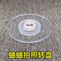 Cricket photo turntable acrylic silent turntable turntable cricket utensils