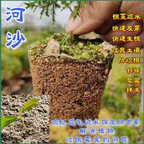 Thick and fine river sand 50 pounds for planting and growing flowers natural yellow sand pavement medium-sized stones turtle hibernating eggs fish tank bottom sand