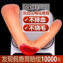Plum blossom fresh velvet antler slices whole root special Chinese medicinal material for soaking in wine fresh blood-stained whole wax slices of deer penis and deer antler