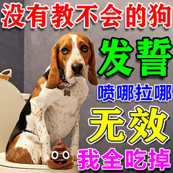 Dog Fixed-Point Defecation Handy Gadget Toilet Inducer to Prevent Dogs from Defecating and Peeing at Will