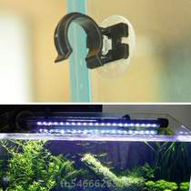 Fish tank strong handle light tube diving] adapter fixed accessories clip suction cup suction cup buckle fixed light