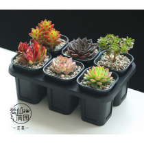 Xinjiang Aixianmanyuan new deep black square basin thickened frosted square basin set bracket