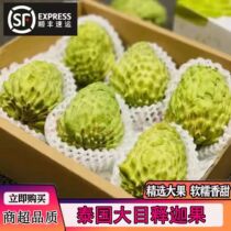 SF custard apple freshly picked tropical fruits milk custard apple custard apple pineapple custard apple muni