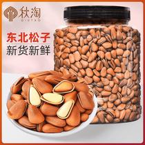 New large grain Northeastern pine nuts 500g canned 250g bulk pine nuts hand peeled open pine nuts