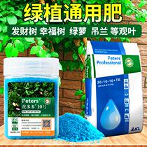 Nutrient solution pot containing happy tree rich bamboo green dill special fertilizer for money tree