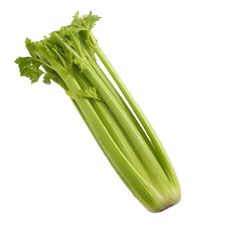(YIKECAI) 2-10 pounds of celery fresh vegetables large celery foreign celery Western side dishes juiced vegetables
