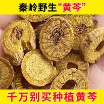 Scutellaria baicalensis Chinese herbal medicine wild 500g scutellaria baicalensis slices dry with Coptis chinensis honeysuckle forsythia in water tea