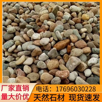 Hunan landscaping river pebbles river pebbles substation pebbles cobblestone filter material river beach stone