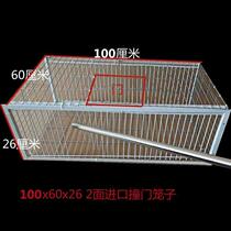 鸽子撞门笼 自动撞门笼活络门帘子门信鸽进笼口进门自动门鸽子笼
