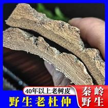 Qinling wild old tree Eucommia main stem thick skin whole piece 500g sulfur-free non-Chinese medicinal materials soaked in wine and water