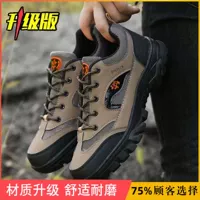 Коричнево-желтый [обновленная версия]