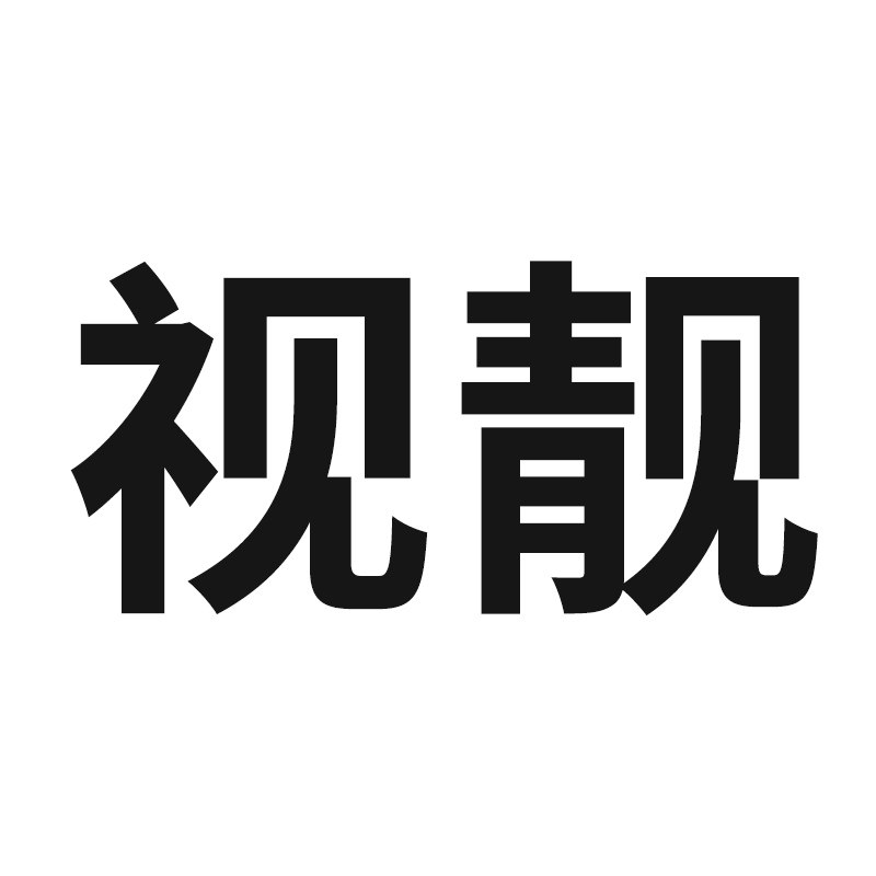 视靓旗舰店的LOGO
