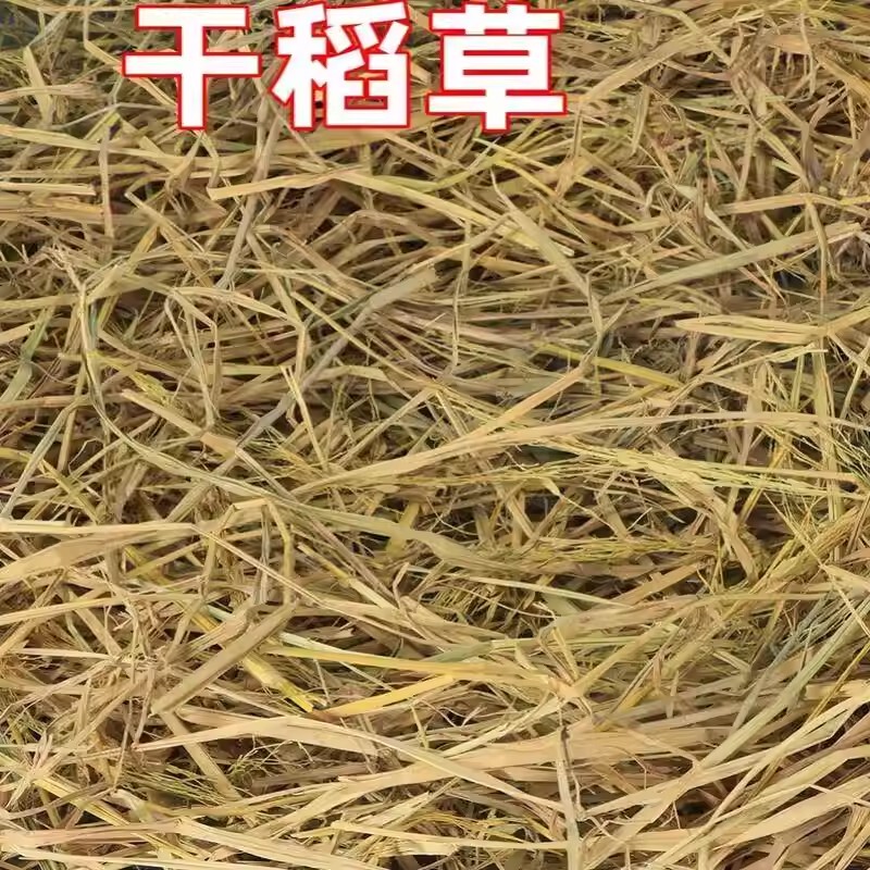 Bird Nest Grass Winter Pigeon Nest Bedding Chicken Nest Straw Insulation Parrot Winter Warm Nest Parrot Nest Padding for Winter
