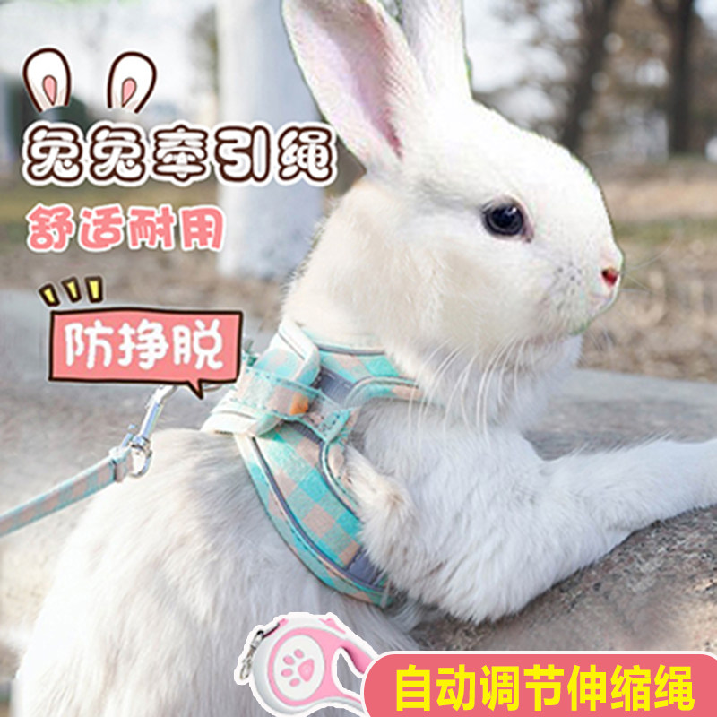 溜兔子神器兔子牽引繩寵物兔防掙脫外出兔兔防咬背心式可調節的繩