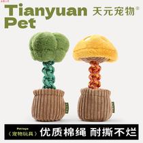 Dog toy bite-resistant molar knot toy sound relieving artifact creative vegetable dog toy