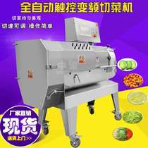 Machine commercial cabbage heart cutting macaroni hollow section machine manufacturer equipment multi-functional vegetable cutting double-head chopping