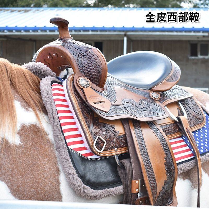 全皮西部鞍扭曲马蹬马鞍子：🌟野骑新宠，牛皮质感带你驰骋天涯！🌈-马鞍护理液-淘宝好物网
