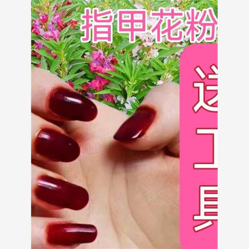 Fengxian Flower Dye Nail Powder Nail Pollen Impatiens Flower Bag Nail Artifact Dye Nail Set Pure Natural Plant Nail Dye