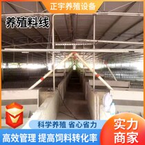 Plug plate feeding pig farm automatic feeding line livestock feeding equipment complete set of feeding tower feeding line breeding automatic feeding line