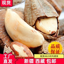 Xinjiang Tibet new abalone fruit 500g nuts dried roasted seeds and nuts new year snacks snacks desert fruit for pregnant women