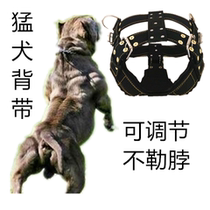 Dog hook buckle bulldog harness bulldog collar pet dog Cathrow dog training supplies and equipment special dog collar
