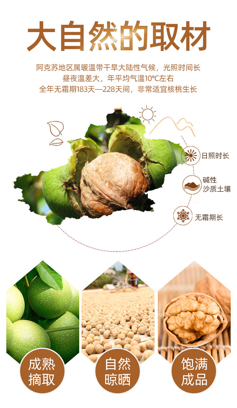 安享好物 安享A级核桃-一果倾城纸皮核桃 国标 