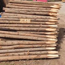 Fir wood piles pine wood piles larch river bank protection piles flood control wood piles landscaping support poles