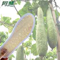 Loofah insoles breathable sports insoles loofah insoles poop-feeling insoles military training