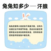 Pet rabbit mat rabbit ice mat hamster chinchilla guinea pig small pet cooling board cooling bed summer cooling board