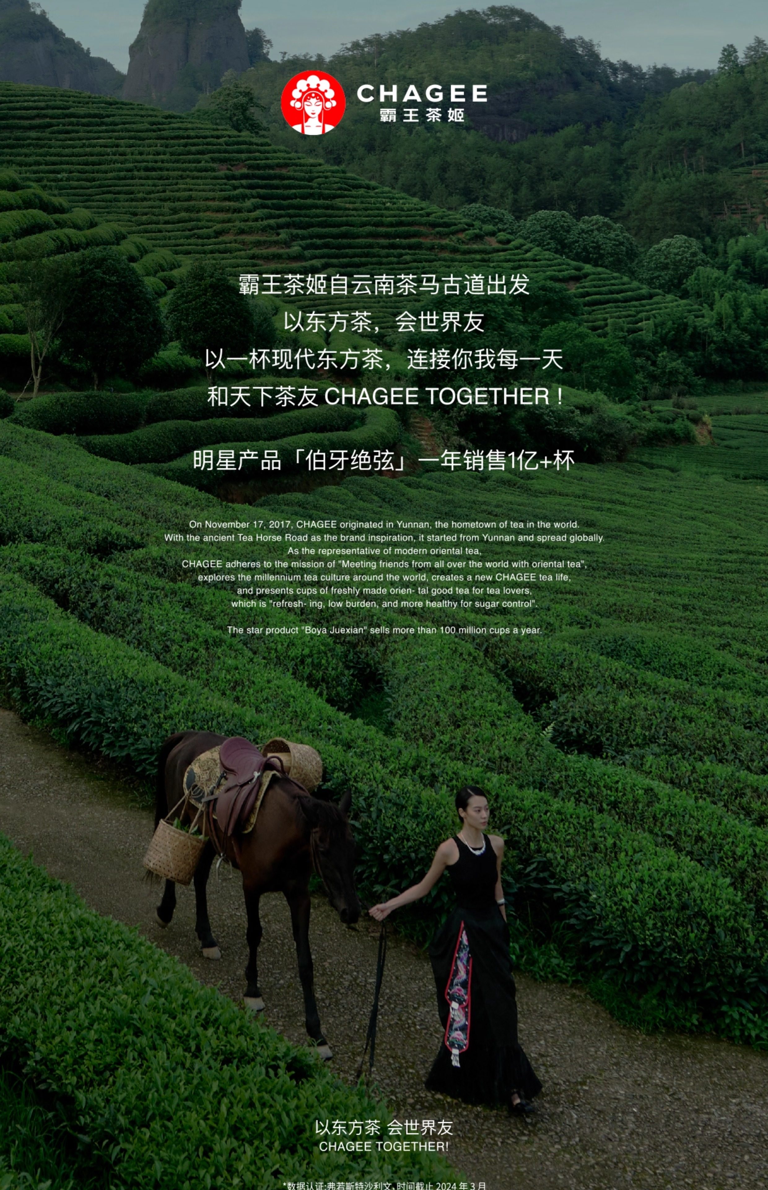 【中国直邮】 霸王茶姬 原叶袋泡茶包组合装 夏梦玫珑24g+万里木兰24g+寻香山茶24g 冷泡茶组合装*3盒