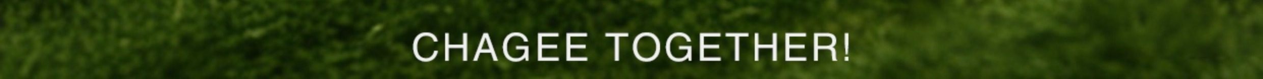 【中国直邮】 霸王茶姬 斜挎包系列 托特包(去云南款) *1个 