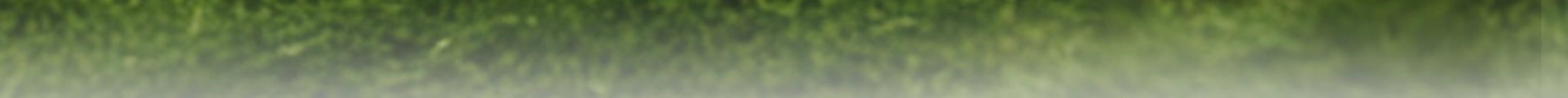 【中国直邮】 霸王茶姬 斜挎包系列 托特包(去云南款) *1个 