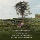 【Спайк】 Первые покупатели флагманского магазина Bawang Chaji упаковывают 3 небольших пакетика оригинального листового жасминового чая Boya Juexian mini 4