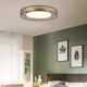 Nordic Light Luxury Living Room Ceiling Light, Minimalist Designer Dining Room, Hallway, Model Room, Bedroom, All-Copper Ceiling Light
