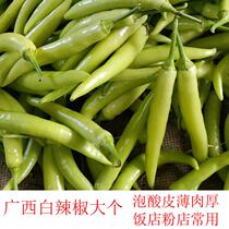 Guangxi fresh white jade pepper picked white pepper medium spicy Laotan pickled pepper powder shop pickled pepper thin skin thick flesh sharp pepper white skin