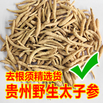 Guizhou virgin forest wild Pseudostellariae Radix Pseudostellariae Chinese medicinal material Ophiopogon japonicus ginseng soup childrens growth soup 500g